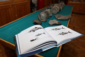 Fossils of ichthyosaur species gifted to Kazan University’s Geological Museum