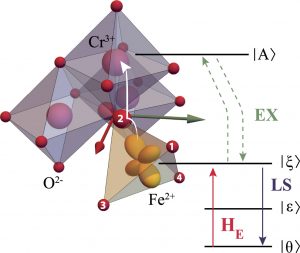 Study of Fe2+ ions contributes to further understanding of magnetoelectric coupling