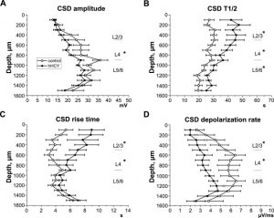 Study of hyperhomocysteinemia in rats elucidates tracks to treating migraine