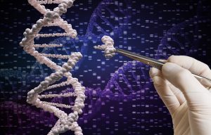 Kazan University to establish Center for Regulatory Genomics