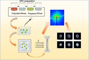 Liquid medium used to study nanoengineered polymeric capsules