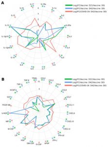 Long-term immune response to Sputnik-V COVID vaccine