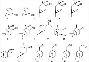 Antioxidant and antifungal activity of monoterpene alcohols