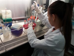 Bionanotechnology Lab working on silver nanoparticles to fight antibiotic resistance in bacteria