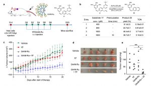 Prodrug design used to elicit tumor growth suppression