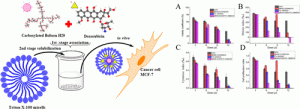 Hybrid micelles decrease toxicity of anti-tumor medications