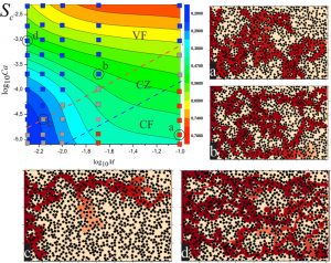 Petroleum scientists forecast catalyst adsorption during drainage displacement