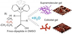 Study details gelation in water media