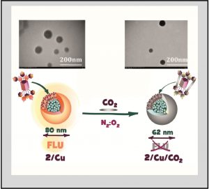 KFU’s inquiry into pillar[5]arenes shows path to artifical photosynthesis