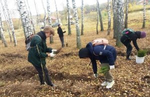 Students join national Save the Forest initiative