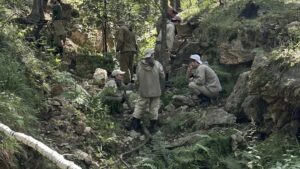 Summer internship for geology students held at unique gemstone deposits