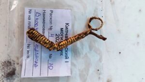 Students discover unique artifacts of Pyany Bor culture during summer internship