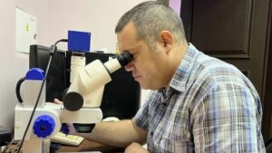 Gemologist explains on what sapphires are used for and how to spot a fake